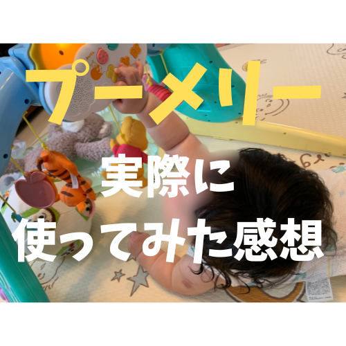 体験談】プーメリーって必要？約1年実際に使ってみた感想 | みどりこ日記